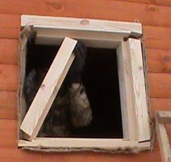 Установка деревянных окон своими руками Установка деревянных окон своими руками